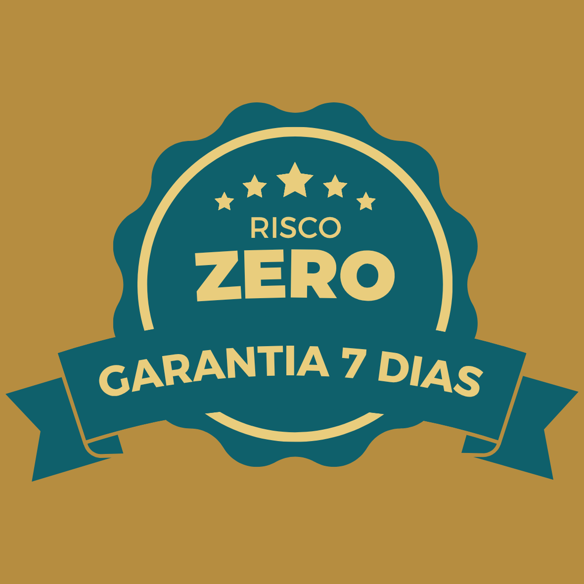Adesivo Selo de Garantia(1)